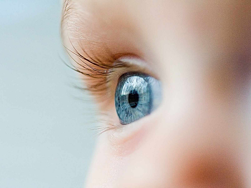 Можно ли предсказать цвет глаз ребенка?