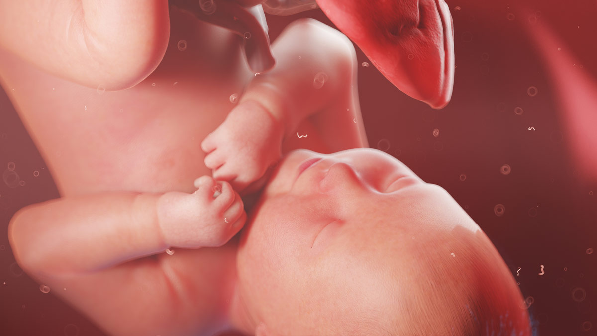 Простуда во время беременности: как лечить? - статьи от специалистов клиники «Мать и дитя»