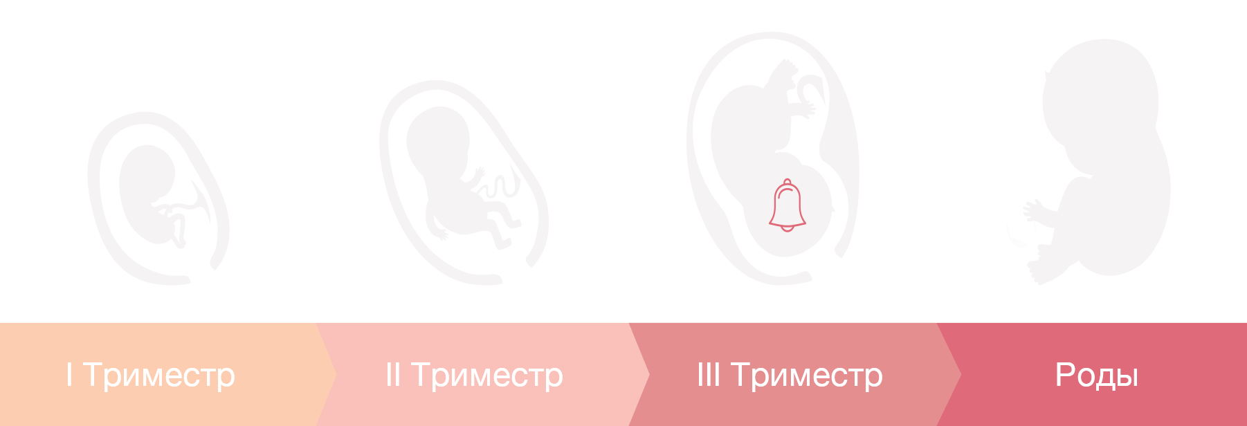 разница грудь при беременности и перед месячными фото 107
