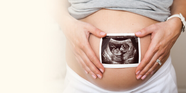 Развитие ребёнка от эмбриона до плода