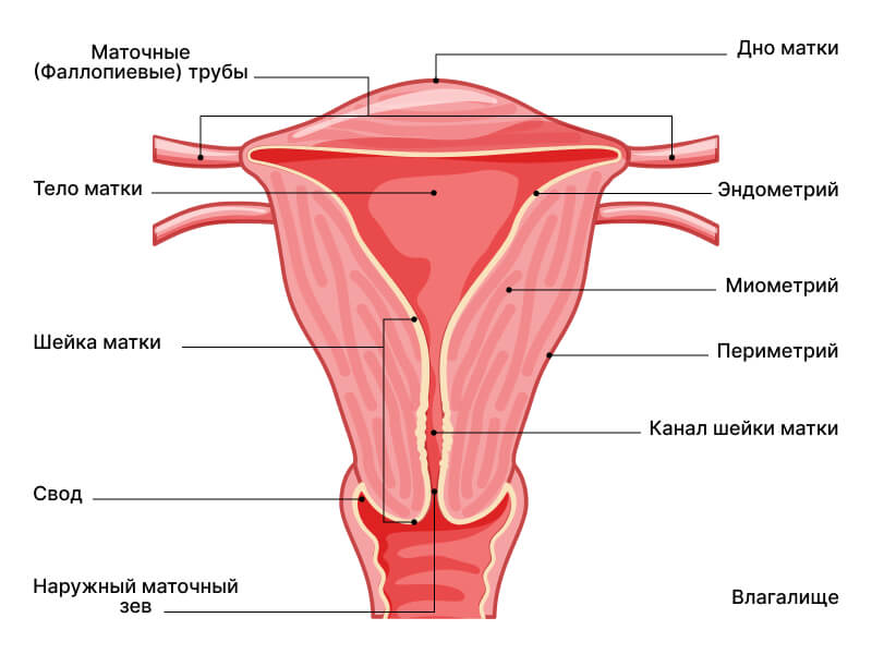 Причины гипертонуса матки